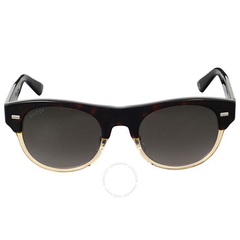 gucci dark havana honey sunglasses|Gucci overzi sunglasses.